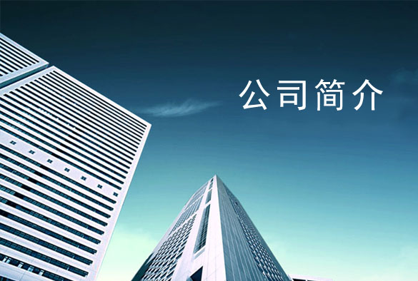 首頁(yè)公司簡(jiǎn)介